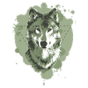 WOLF - GEOMETRIE - GRÜN