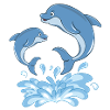 Bottlenose Dolphin Sea