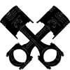 Piston Pleul engine