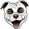 Staffy Lenka - Santa Muerte