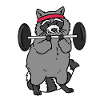 Fitness Raccoon Powerliftig Raccon