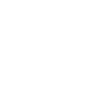 CEO