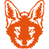 jackal wild animal 306