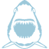 shark shark wild animal 306