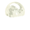paragliding