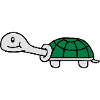Cute Turtle