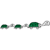 Cute Turtle Family
