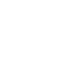 PARTNERS IN CRIME