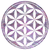 flower of life e 62