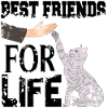 Cat cats