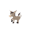 Donkey