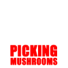 Cueillette de champignons