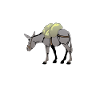 Donkey