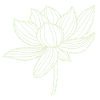 Lotus flower