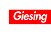 Giesing