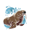 walrus