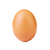 Weltrekord-Ei