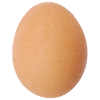 Egg Brown Pattern Nature Motif