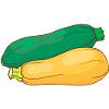 Zucchini
