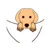 Chien Animaux Chiens Enfants Bébé