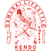 Samurai Japanese Graphic