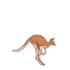 Känguru