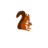 squirrel