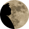 Cat moon cat design silhouette cat mom