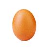 oeuf