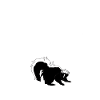 skunk