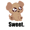 Chien doux, chien doux