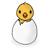 Chick in egg - little bird