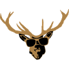 Deer with glasses