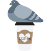 Coffee Love Pigeon Friend