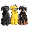 Hovawart – Hovi – Dog – Shirt Design