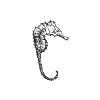 hippocampe