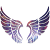 Engelsfluegel