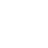 Turtle polygon geometric