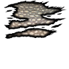 Pike