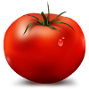 the best tomato