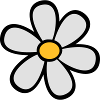 Daisies