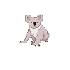 Koalabär