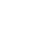 rose flower