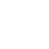 Snowflake 9