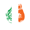 Boxing Irish Flag