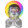 Acid LSD psychedelic drugs Buddha