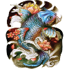 Koi