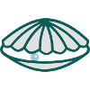 Mussel