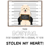 Bobtail Mugshot