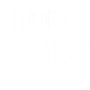 Handball Evolution